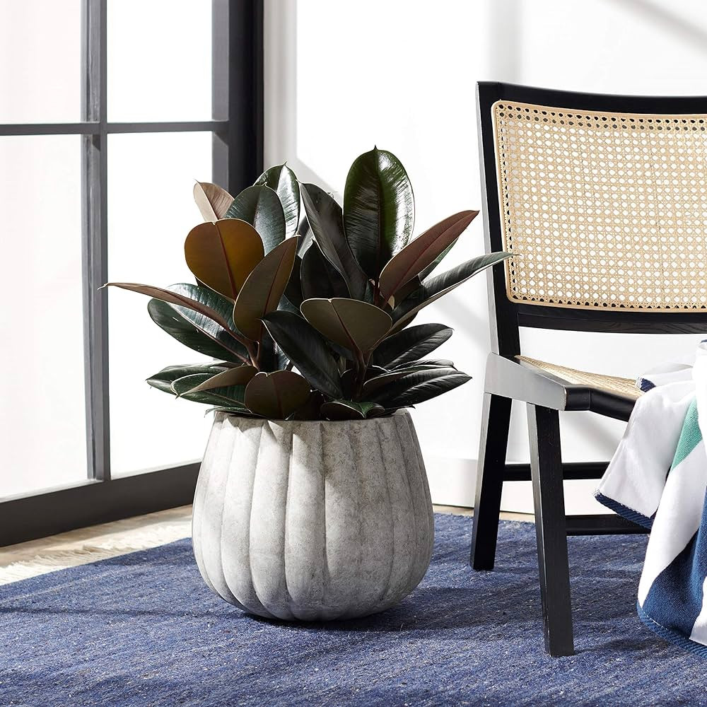 Safavieh Outdoor Collection Kaston Light Grey Concrete Planter (Fully Assembled) | Amazon (US)