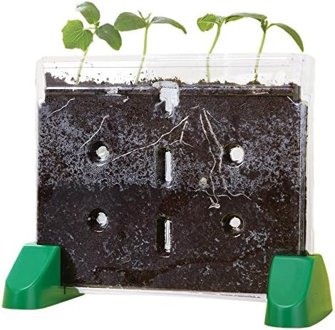 Educational Insights Sprout & Grow Window Plant Growing Kit, Science Kit for Homeschool & Classro... | Amazon (US)
