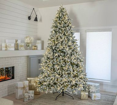 Pre-lit Faux Natural Cut Winter Flocked Spruce | Pottery Barn (US)