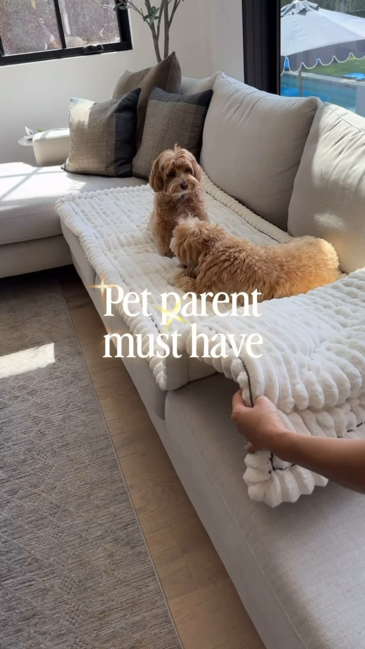 Keep your sofa clean forever! kid and pet proof!!  

 #LTKHome #LTKSaleAlert #LTKFindsUnder100