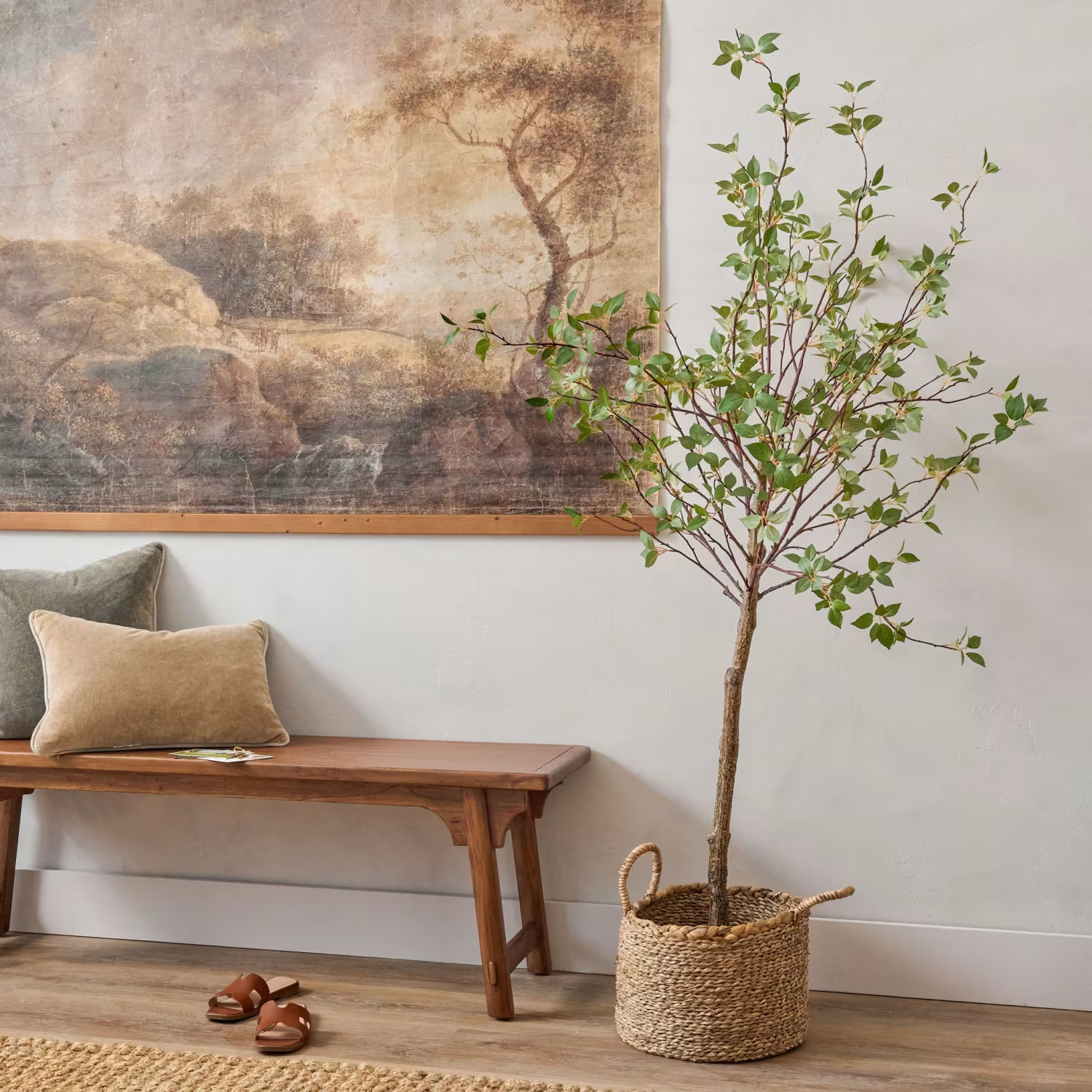 Large Potted Green Leaf Tree | Magnolia