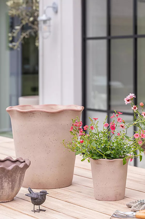 Ada Scalloped Edge Terracotta Plant Pots, Set of 3 | Anthropologie (UK)