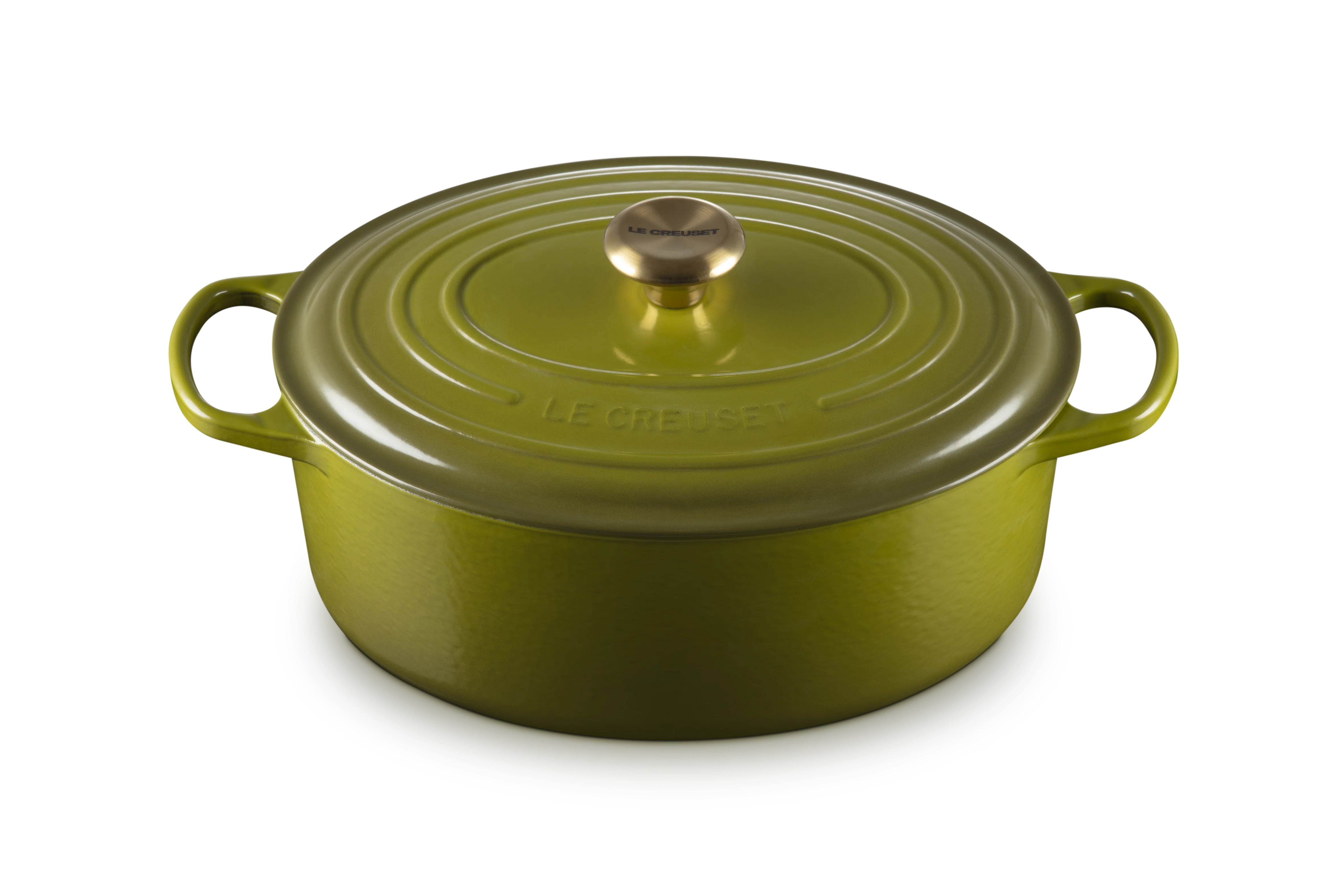 Le Creuset Enameled Cast Iron Oval Dutch Oven with Lid & Reviews | Wayfair | Wayfair North America