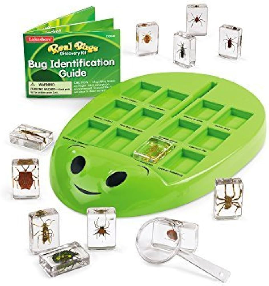 Lakeshore Real Bugs Discovery Kit | Amazon (US)