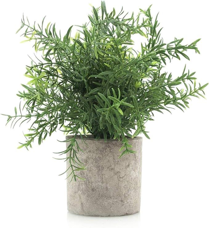 Velener Mini Plastic Artificial Fake Plants Green Rosemary Bamboo Leaves Fern in Pot for Home Dec... | Amazon (US)