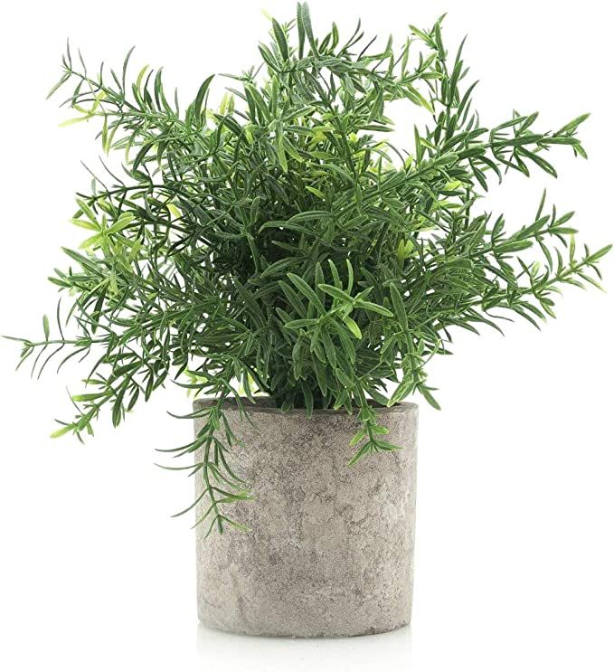 Velener Artificial Potted Rosemary Plants- Rustic Farmhouse Topiary Shrubs for Decoration Centerp... | Amazon (US)