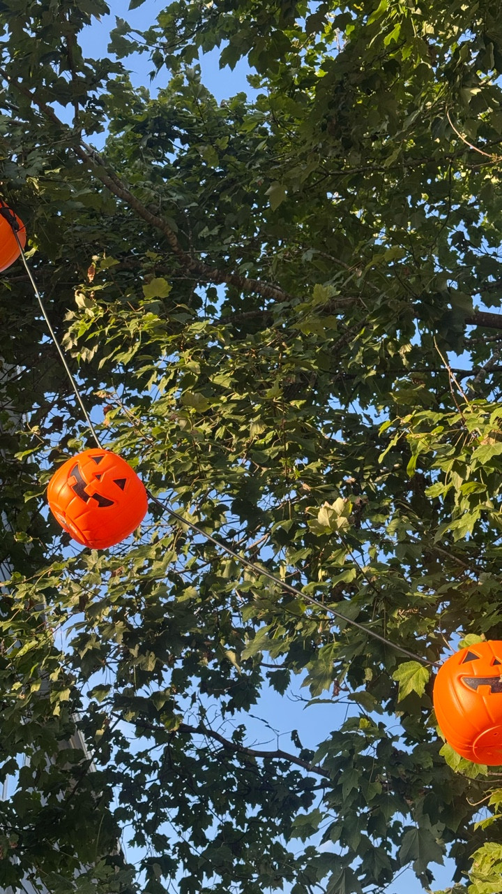 We put the ‘treat’ in trick-or-treat this year! 🎃✨ 

Our DIY floating pumpkin lanterns are finally live and giving our front yard that perfect touch of spooky magic. They’re just trick-or-treat buckets turned into glowing jack-o’-lanterns!

Want to make your own “magically” floating pumpkins? All the materials and the easy tutorial link are in my bio on my @liketoknow.it . Get ready for some major curb appeal!

#HalloweenDecor #DIYHalloween #FloatingPumpkins #SpookySeason #FrontYardDecor #TrickOrTreat #LTKDIY