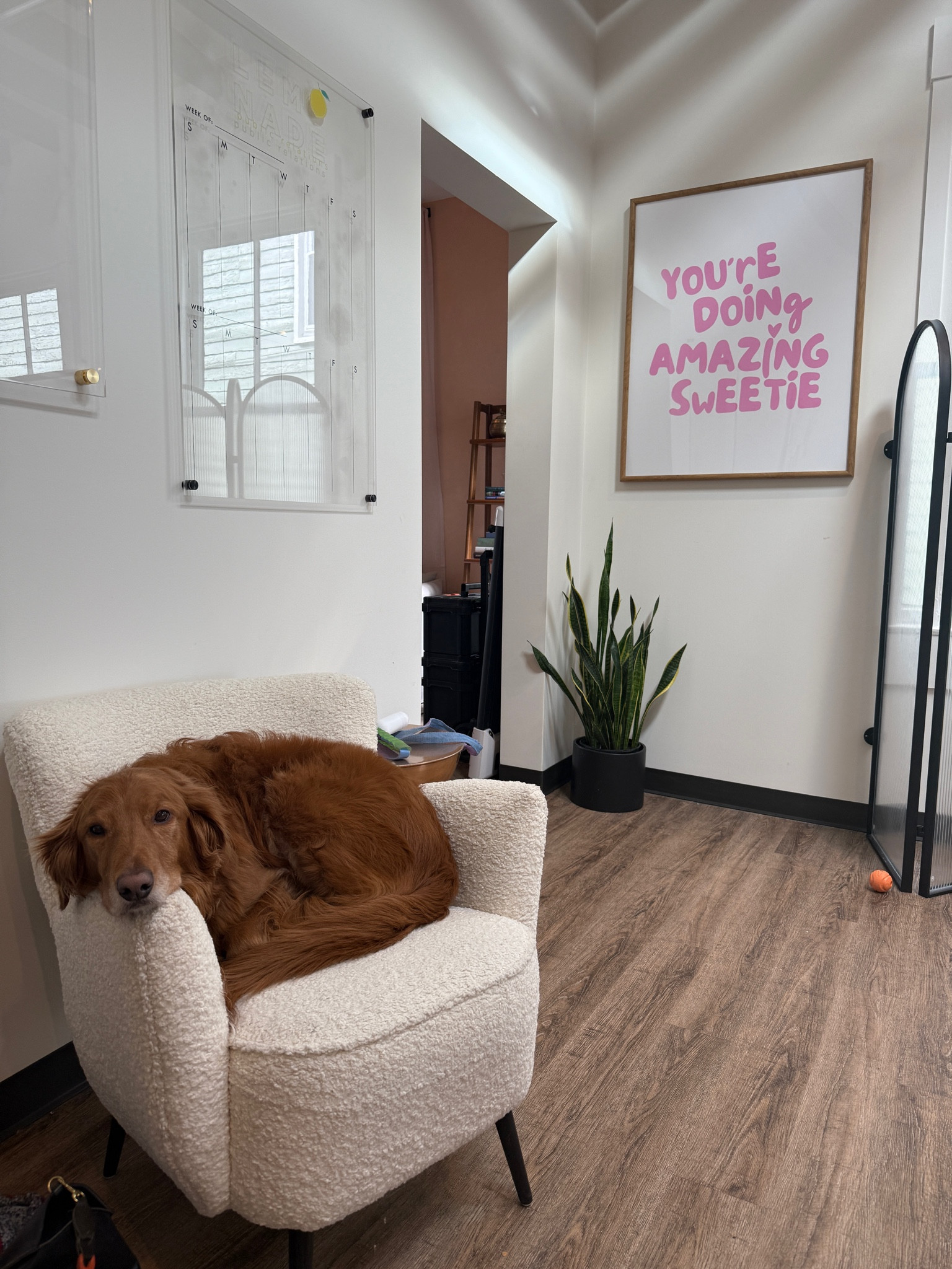 You’re doing amazing sweetie artwork 

#LTKFindsUnder50 #LTKHome