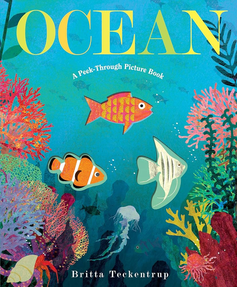 Ocean: A Peek-Through Picture Book | Amazon (US)