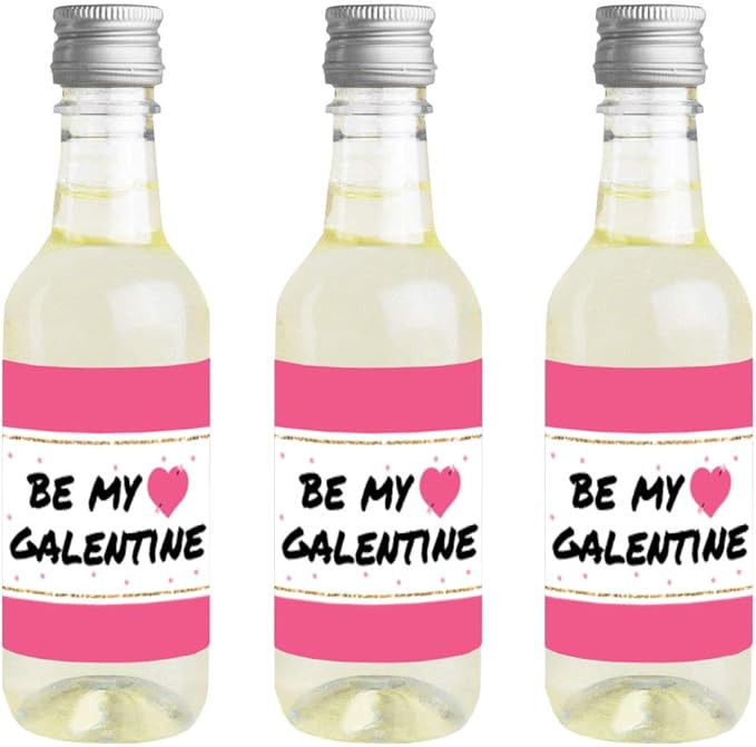 Big Dot of Happiness Be My Galentine - Mini Wine and Champagne Bottle Label Stickers - Galentine’s a | Amazon (US)