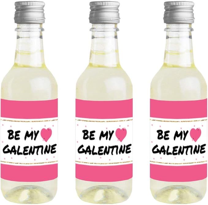 Big Dot of Happiness Be My Galentine - Mini Wine and Champagne Bottle Label Stickers - Galentine’s a | Amazon (US)
