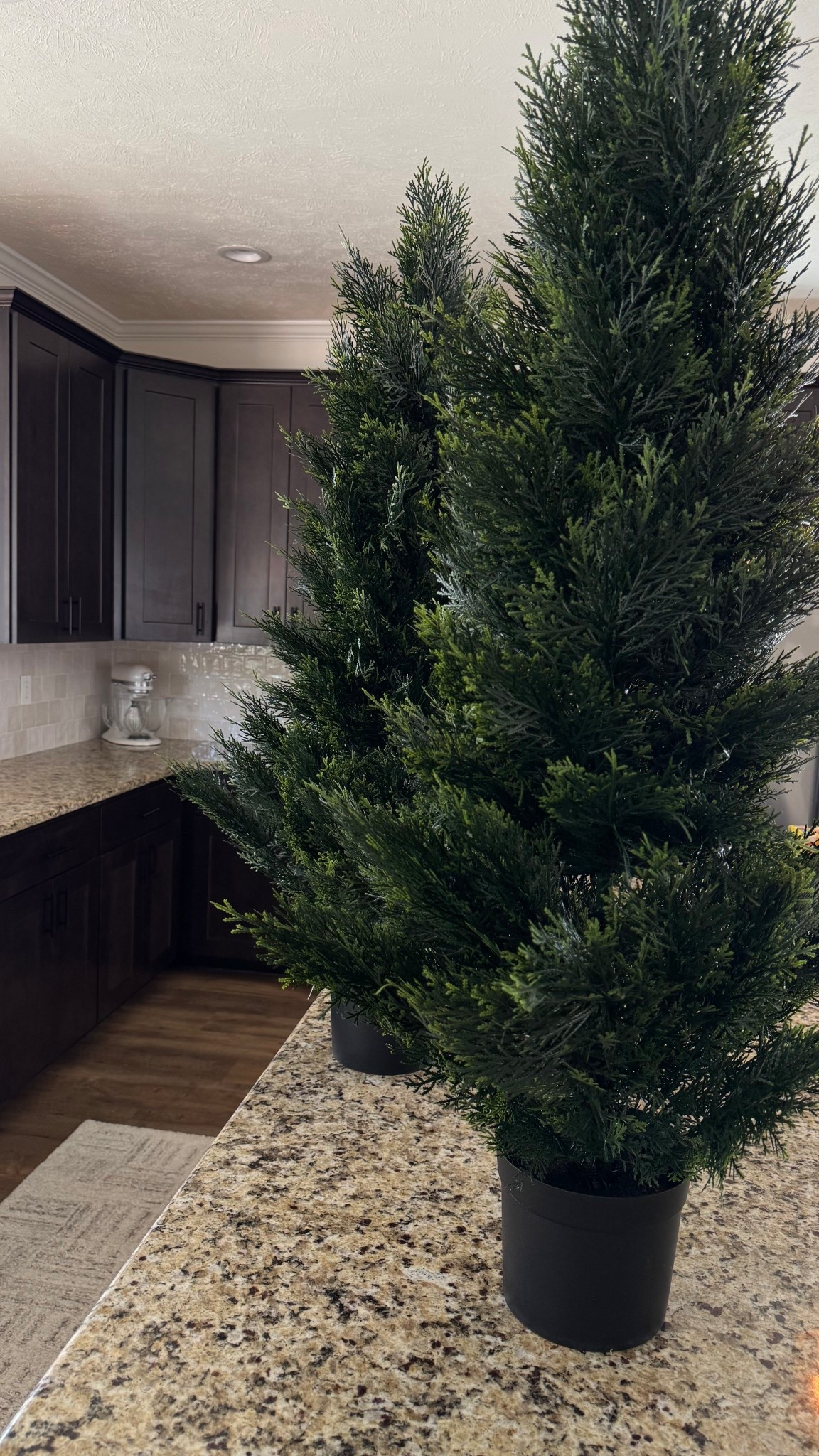 SO excited to add these to our front porch!

#LTKFindsUnder100 #LTKFallSale #LTKHome