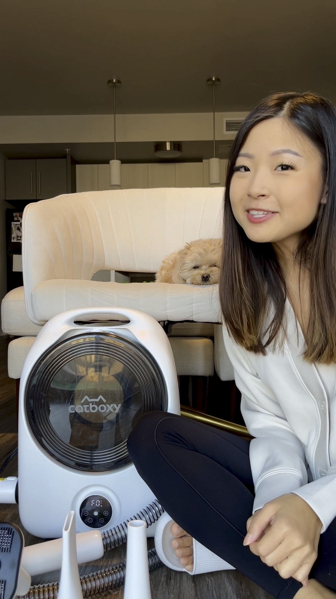 5-in-1 Dog Vacuum Grooming Kitt

#LTKGiftGuide