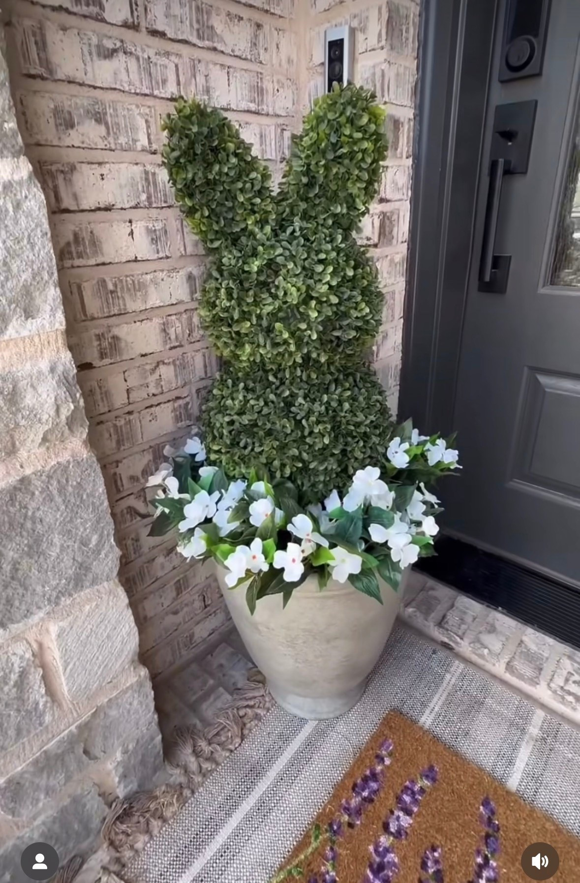 The viral bunny topiary is back in stock! Comes in a single or a double pack! 

#LTKSeasonal #LTKHome #LTKFindsUnder100