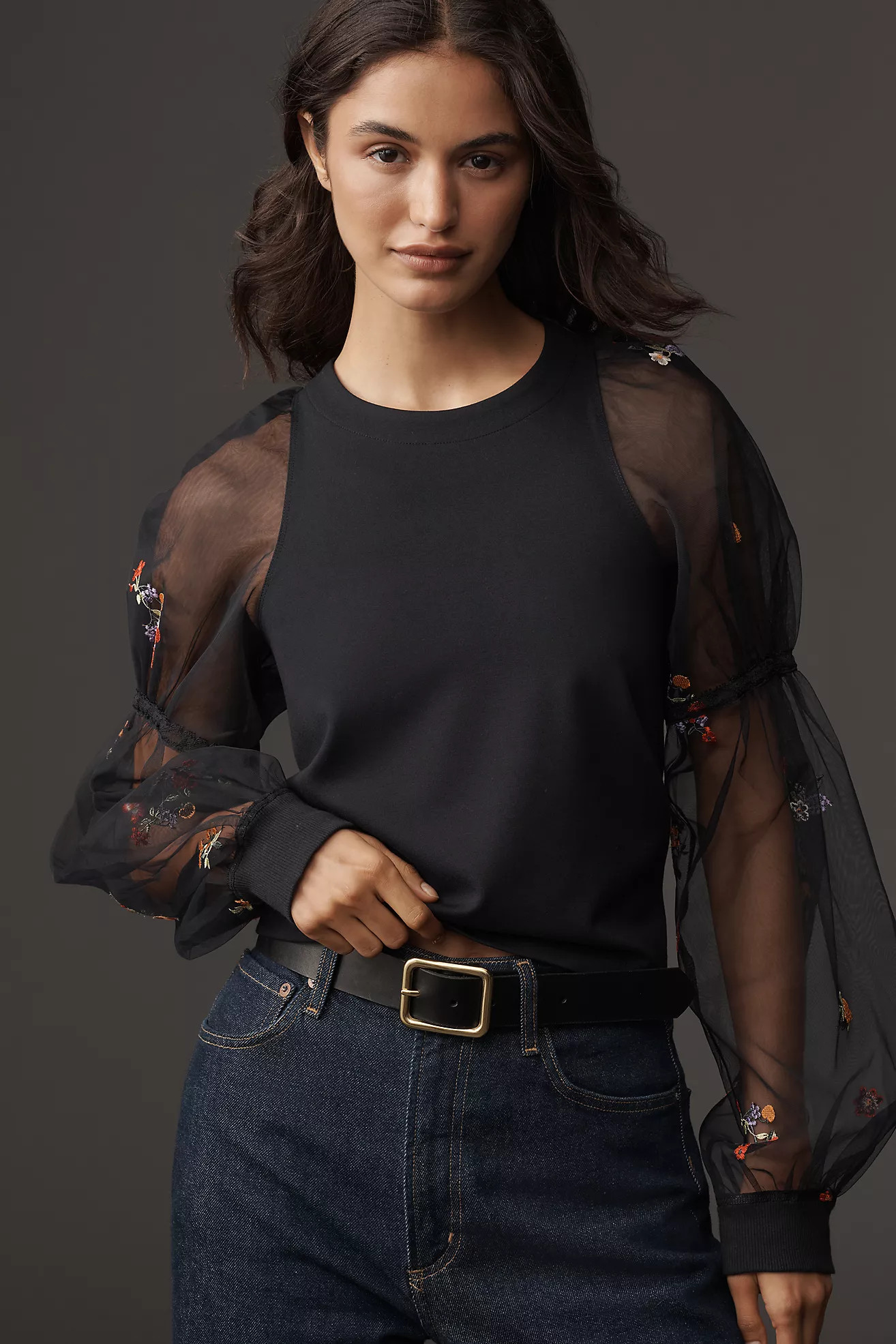 Maeve Embroidered Sheer-Sleeve Pullover | Anthropologie (US)