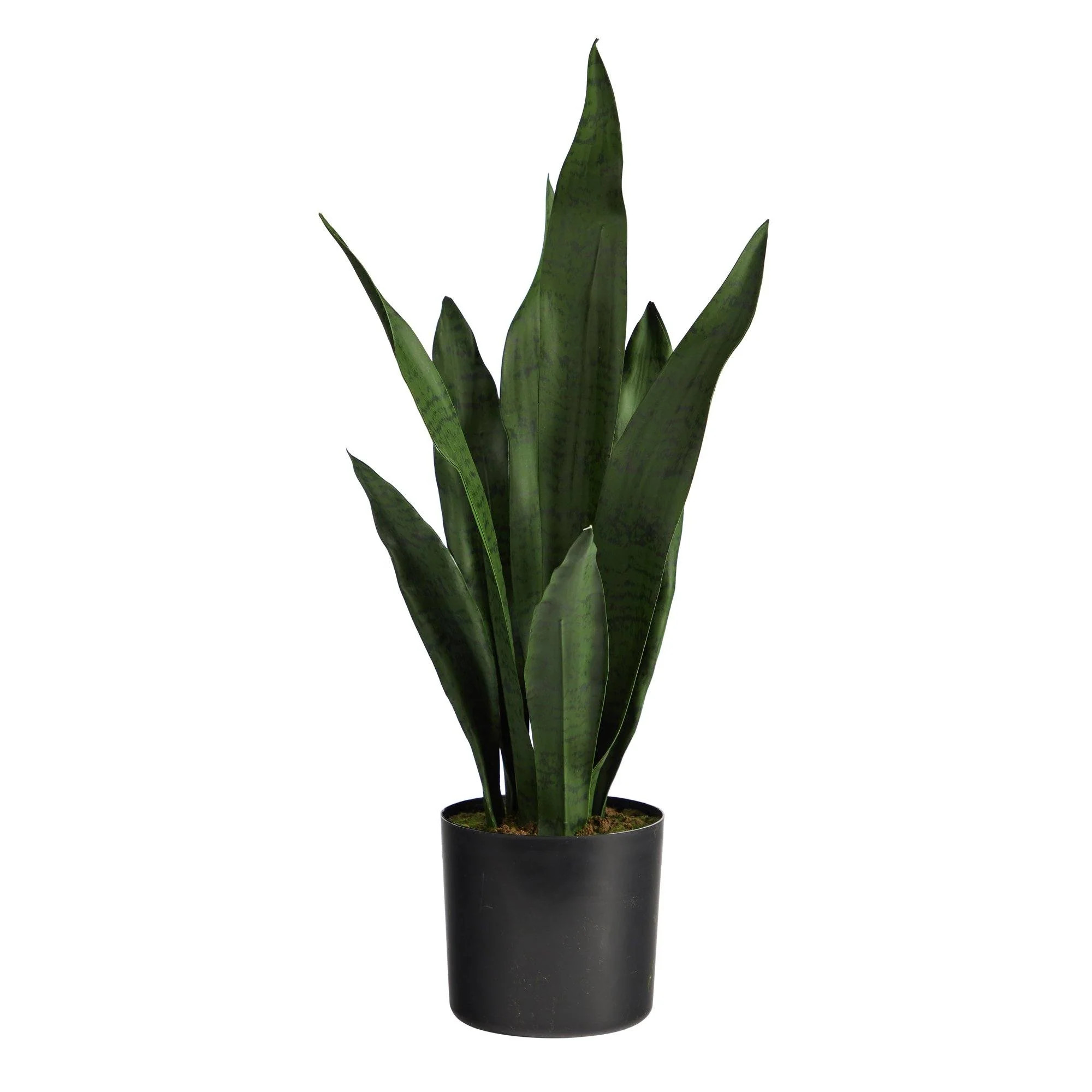 22” Sansevieria Artificial Plant | Nearly Natural | Nearly Natural