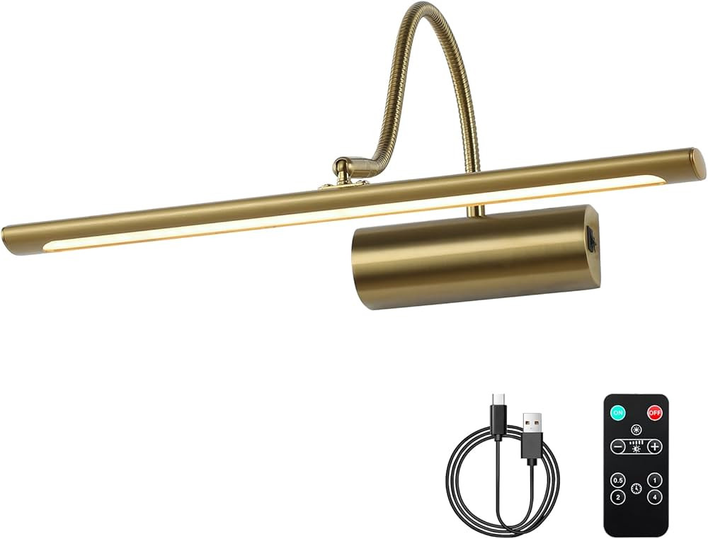 JOOSENLUX Battery Operated Picture Lights Gold Wall Lights Wireless Flexible Neck with Remote Rec... | Amazon (US)