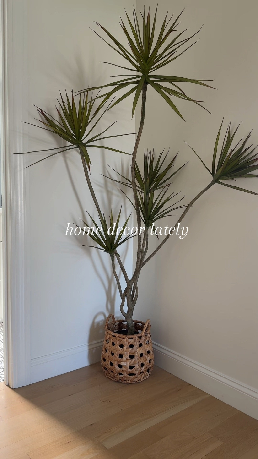 Home decor lately #homedecor #2025

#LTKFindsUnder50 #LTKHome