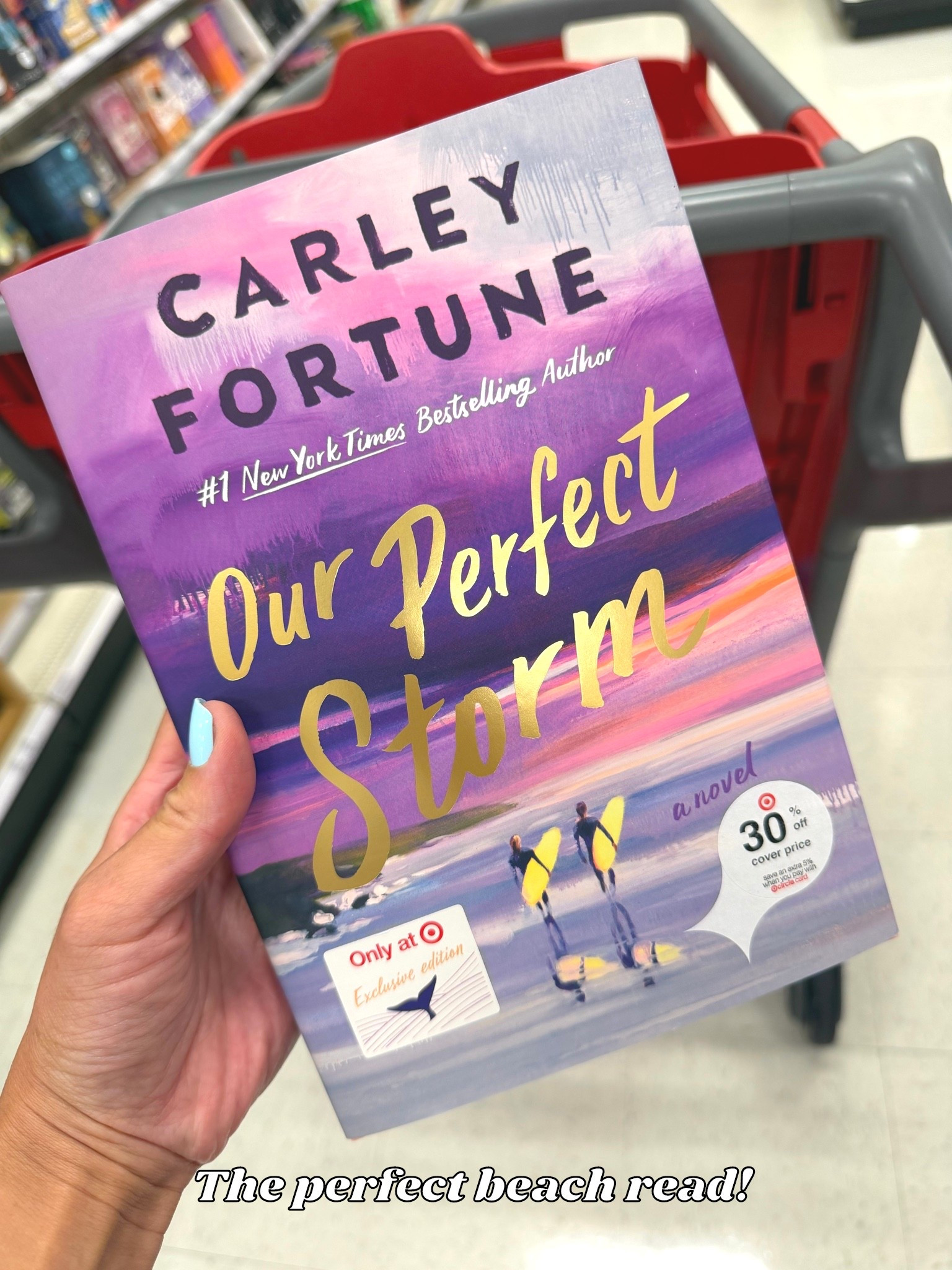 Target Summer Romance Books Our Perfect Storm by Carley Fortune #target #targetstyle #romancebooks #carleyfortune #beachread #targetbooks #booklovers

#LTKTravel #LTKHome #LTKdayinmylife