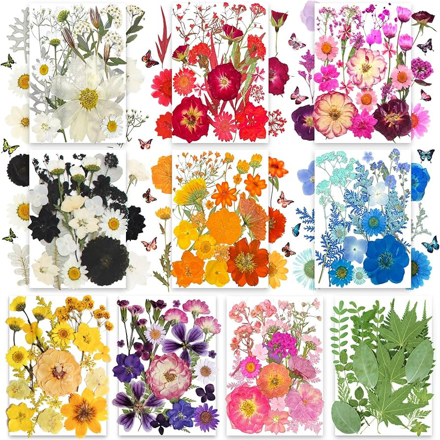 301Pcs Dried Pressed Flowers Leaves & Butterfly Stickers for Crafts,TrendCart Real Natural Dry Pr... | Amazon (US)