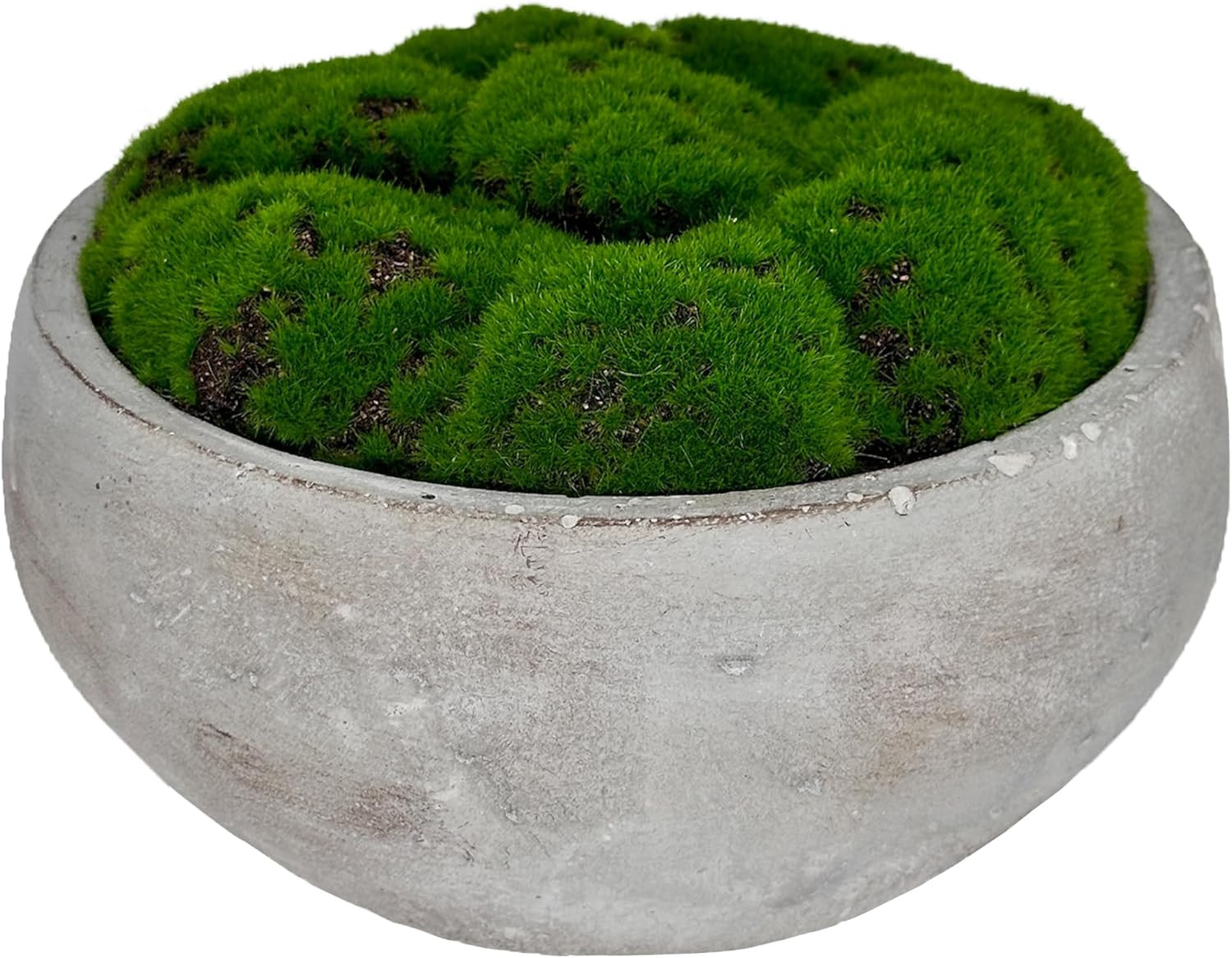 Moss Bowl | 8" Diameter | Artificial | Hand-Painted Cement Bowl | Home Décor (8" Diameter) | Amazon (US)