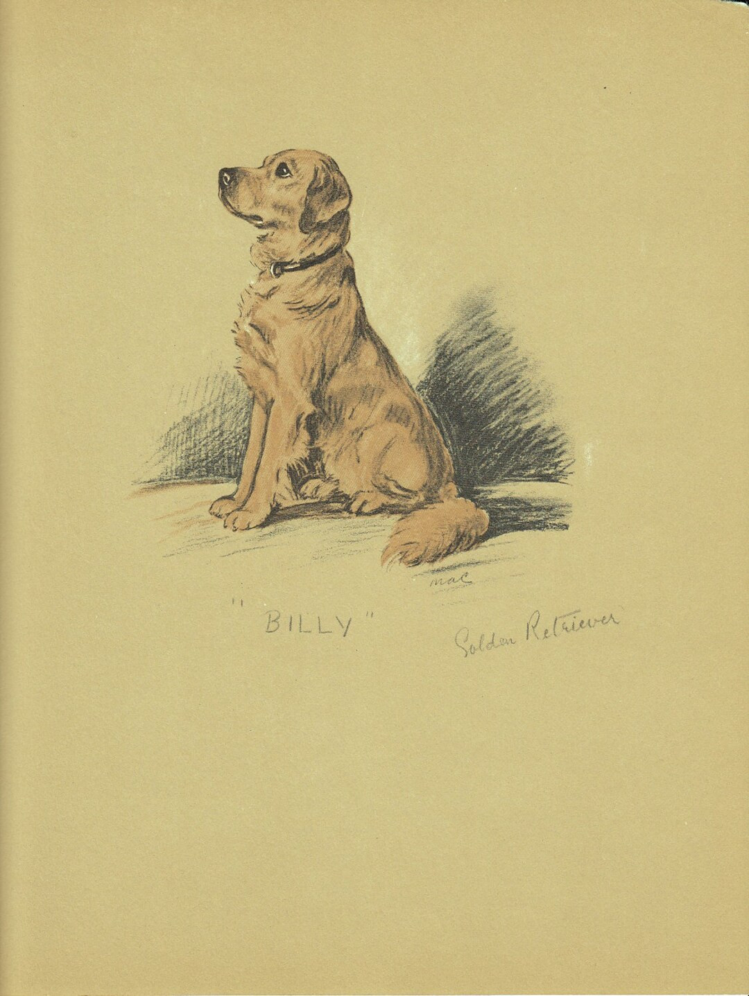 GOLDEN RETRIEVER Dog Print Lucy Dawson Wall Art Home Decor - Etsy | Etsy (US)