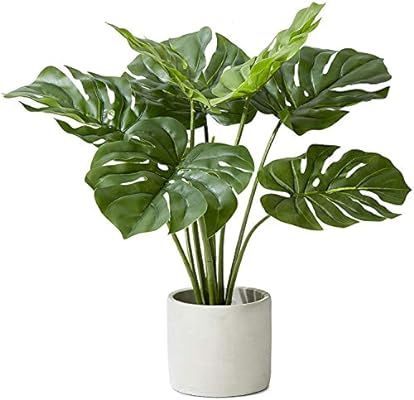 Serene Spaces Living Real Looking Artificial Monstera Plant in Cement Pot, Medium Sized Faux Plan... | Amazon (US)