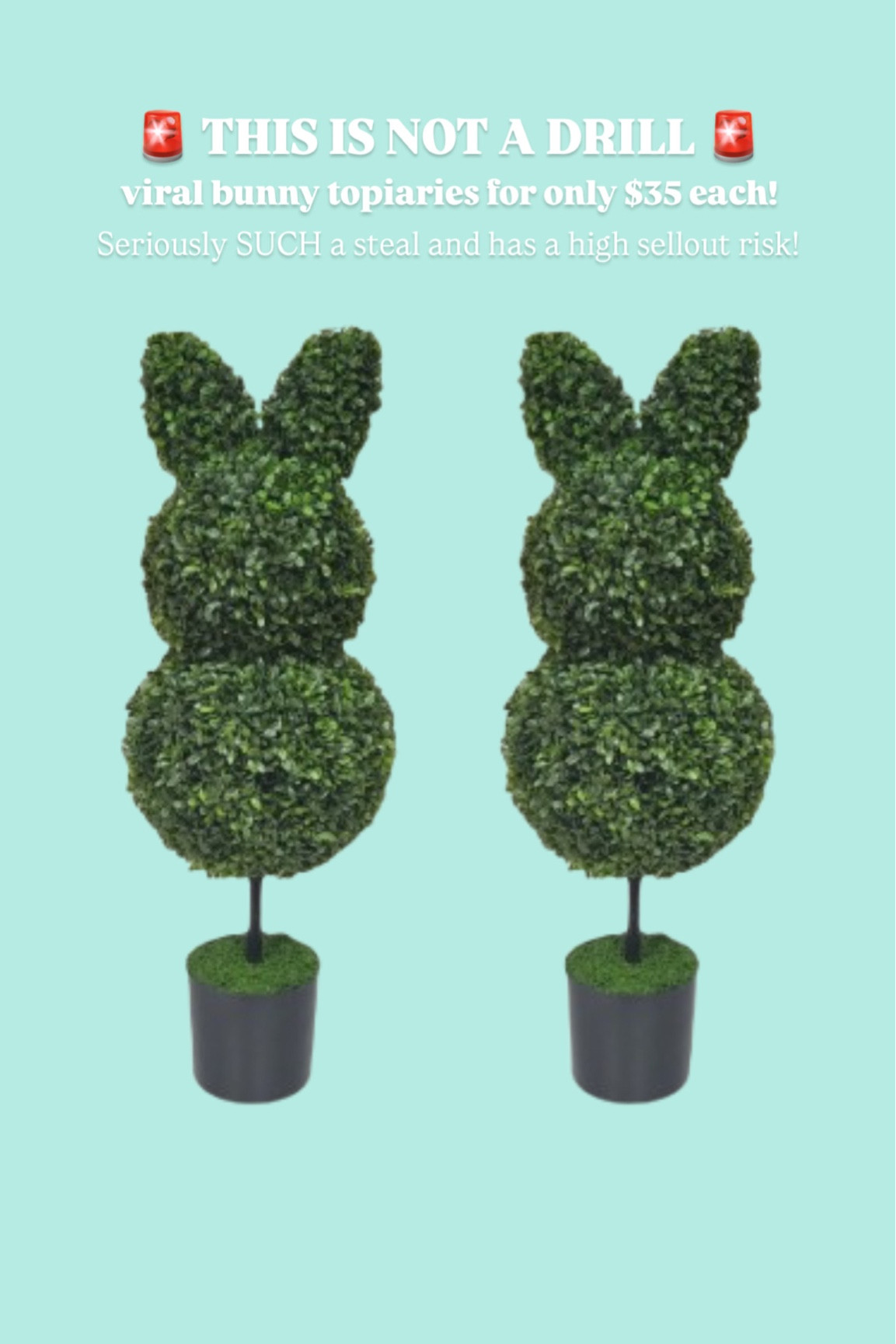 These viral bunny topiaries are only $35 each from Walmart!!!! Hurry and snag them while they’re in stock because they will sell out quick!! My Texas house bunny topiary, Easter decor, Walmart decor, Walmart home 

#LTKFindsUnder50 #LTKSeasonal #LTKHome
