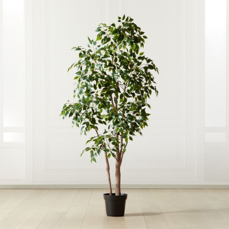 Banyan Leaf Tree 6" | CB2 | CB2
