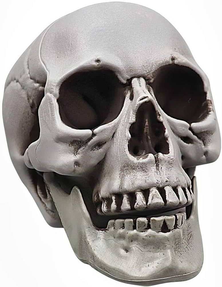 POWER TOY Life Size Skull Mask Plastic Human Skeleton Skull for Halloween Decoration Plastic Skul... | Amazon (US)