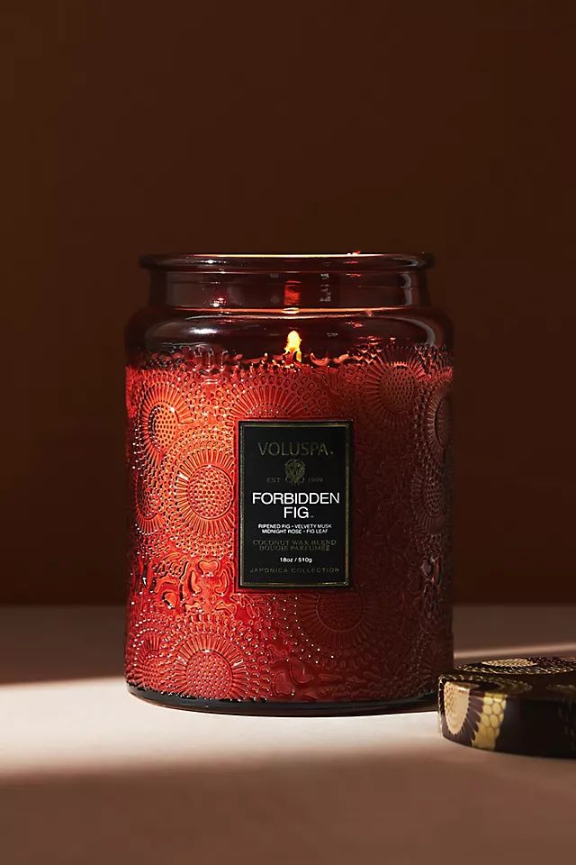 Voluspa Forbidden Fig Japonica Jar Candle | Anthropologie (US)