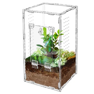 Jumping Spider Enclosure, Tarantula-Enclosure Large Acrylic Terrarium, Reptile Enclosure Jumping Spider Accessories With Magnet Front Opening Door, Te | Wayfair North America