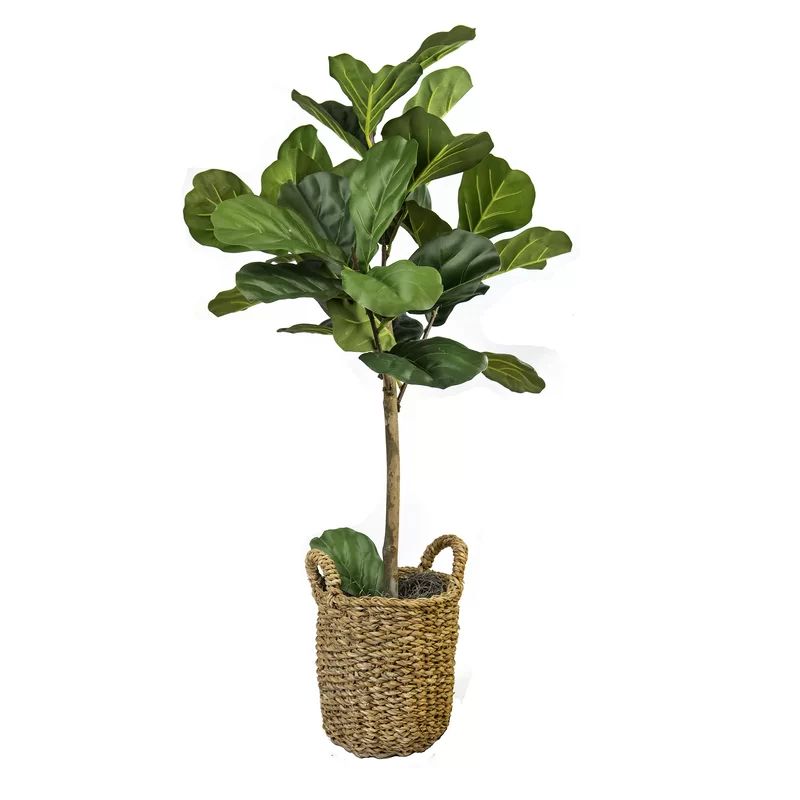 30" Artificial Fiddle Leaf Fig Tree in Basket | Wayfair Professional