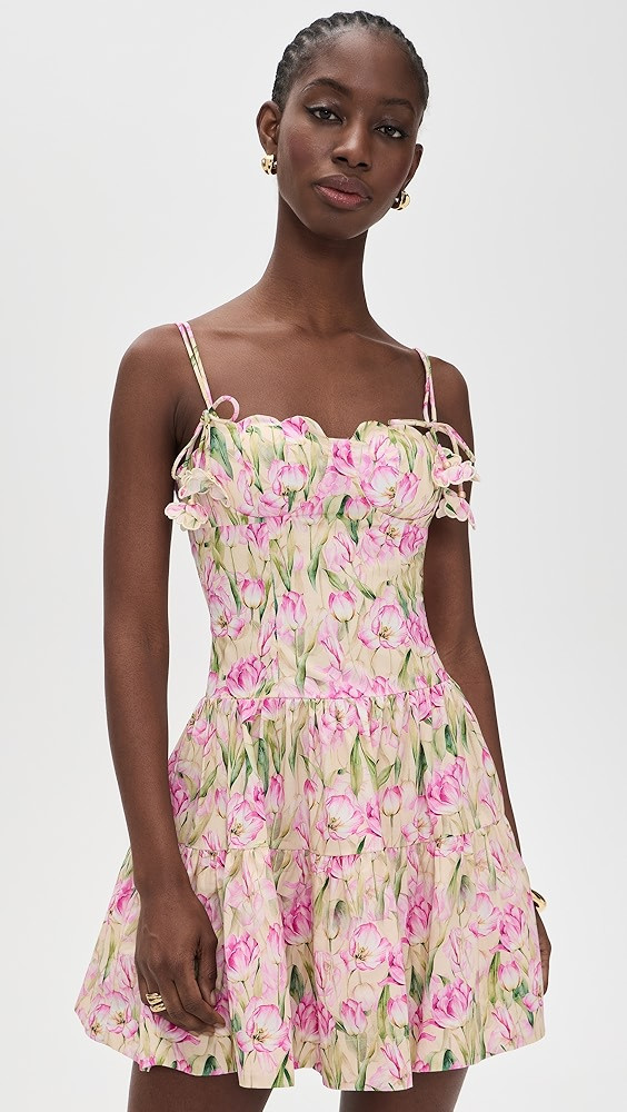 Arya Mini Dress | Shopbop