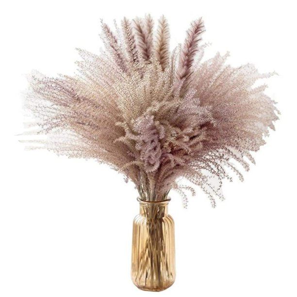 YAWOTS Pampas Grass Reed Flower, Real Natural Dried Plant Flower Bunch Decoration for Vase Filler... | Walmart (US)