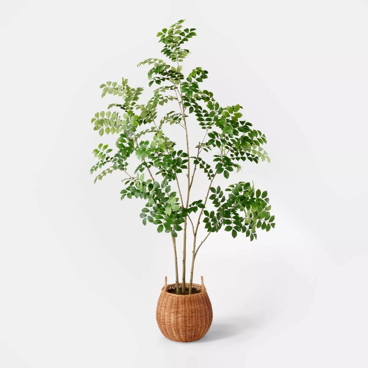 Artificial Pterocarpus Leaf Tree - Threshold™ designed with Studio McGee | Target