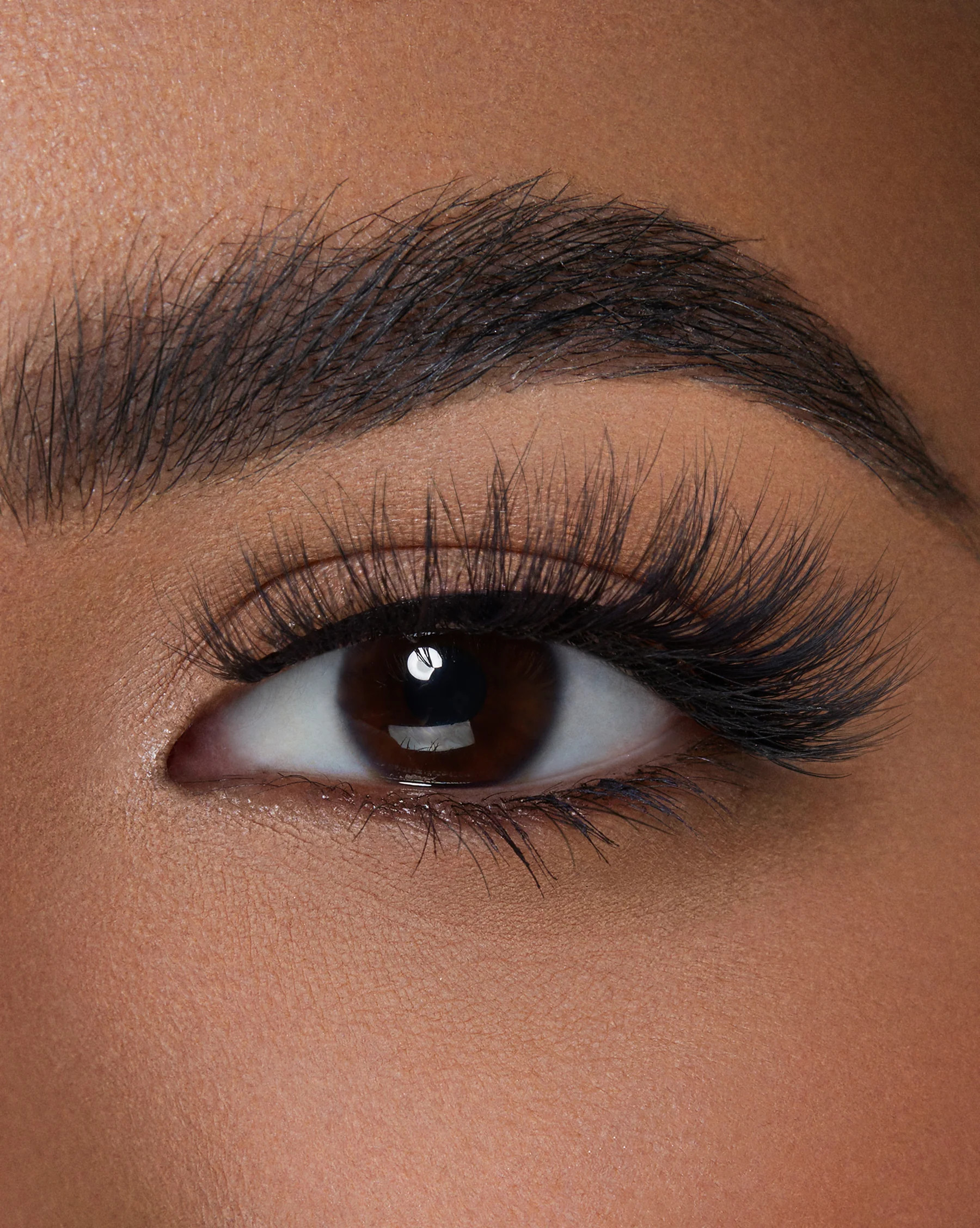 Powell Street | Lilly Lashes