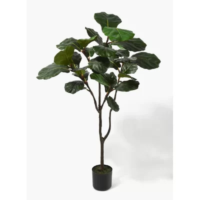 Fiddle Leaf Fig Tree in Pot | Wayfair North America