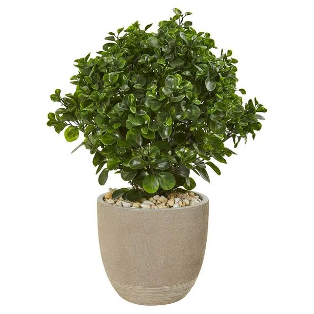 Nearly Natural 30? Peperomia Artificial Plant in Sand Stone Planter UV Resistant (Indoor/Outdoor) | Walmart (US)