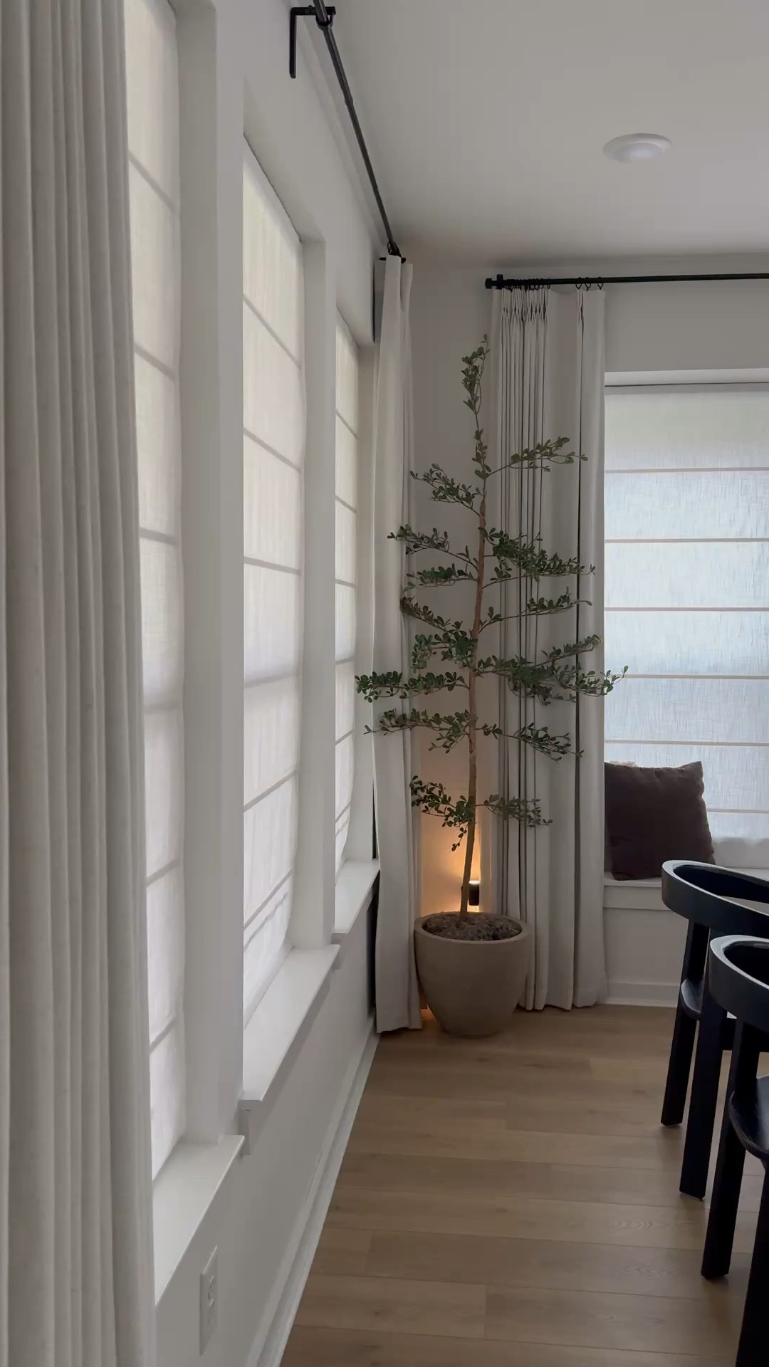 Olive tree 🌲😍

#LTKHome #LTKSaleAlert #LTKSeasonal