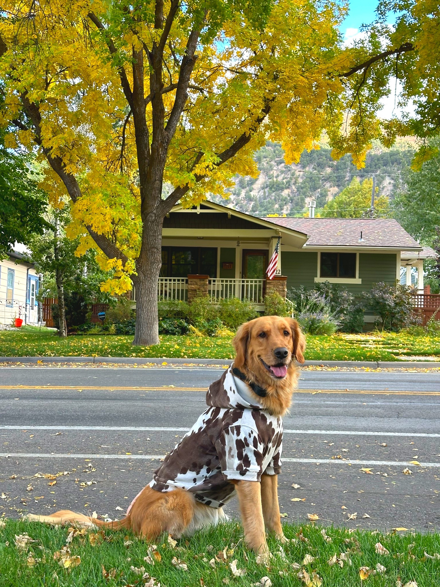 One thing I’m going to do every fall is dress my girls up 🍁🎃 

Pet hoodies can be a hit or miss but Abercrombie is usually always spot on 💌

#LTKHalloween #LTKSeasonal #LTKPets