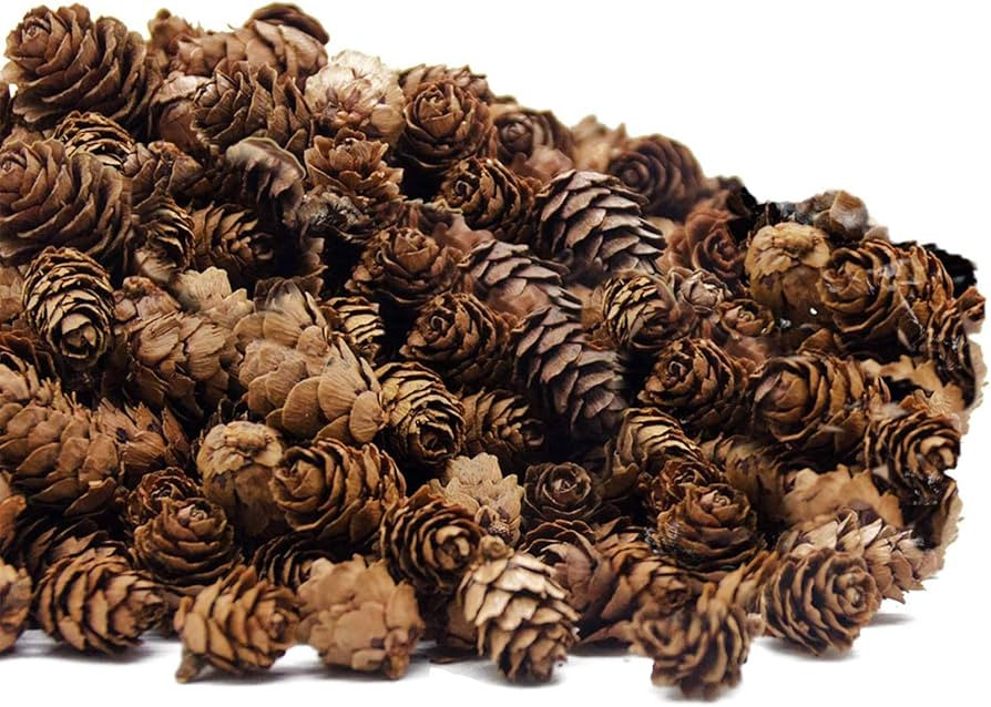 250 PCS Christmas Natural Mini Pine Cones-Thanksgiving Pinecones Ornaments for DIY Crafts, Home D... | Amazon (US)