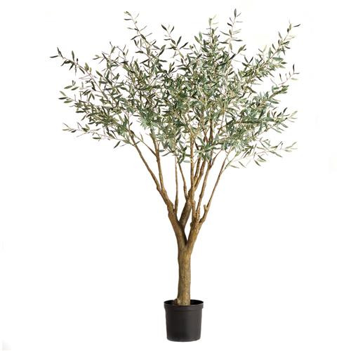 Apollo French Country Green Grand Olive Drop In Potted Tree - Large | Kathy Kuo Home
