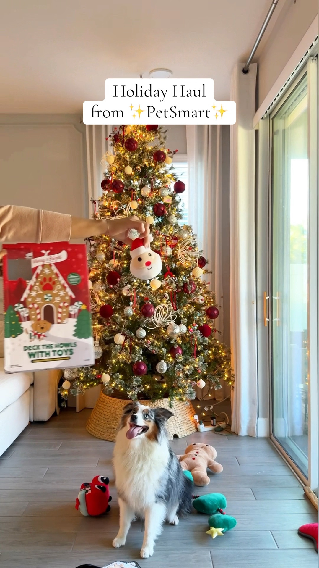 PetSmart Christmas Dog Toys Must haves! Get them in time for Christmas! Save here: https://www.petsmartcreators.com/mypage/leuleuaussie

#LTKGiftGuide #LTKSeasonal #LTKHoliday