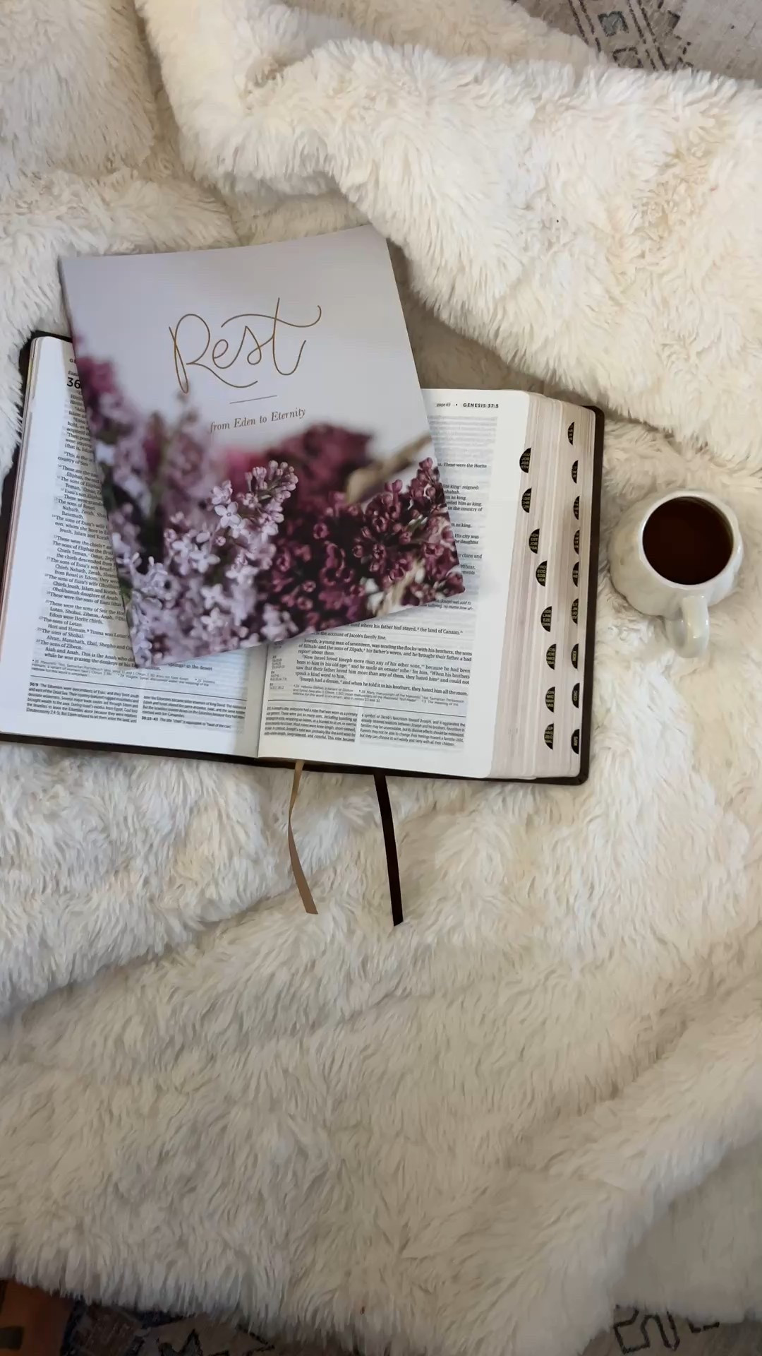 A great fall devotional to learn what true rest is for women 🤍

#LTKHome #LTKSeasonal #LTKSaleAlert