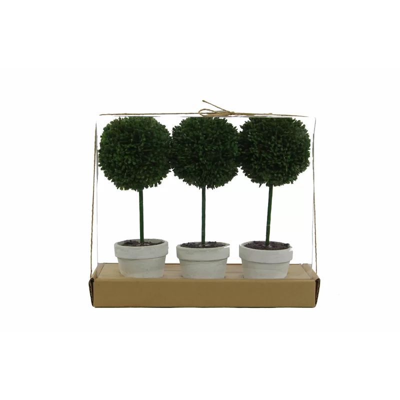 Faux Preserved Boxwood Floor Topiary in Pot (Set of 3) | Wayfair North America