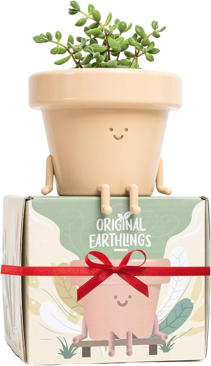 Original Earthlings Sitting Pot, Cute Plant Pot, 3.5 Inch Plastic Funny Planter with Drainage, Un... | Amazon (US)