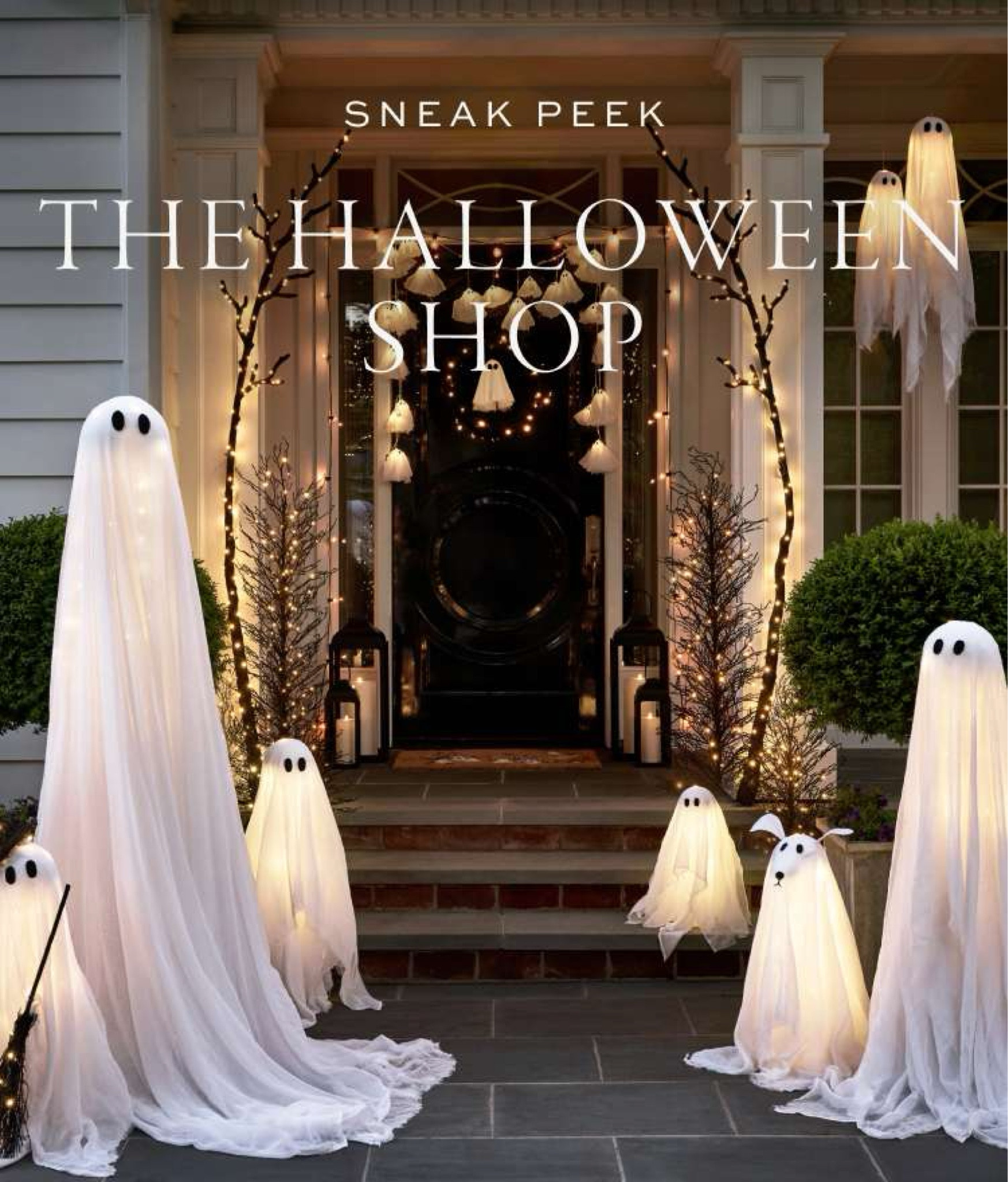POTTERY BARN LAUNCHED THEIR HALLOWEEN PREVIEW!! 👻 Everything is so good!!

Puppy Halloween, Gus the ghost, Mrs Gus pillow, Halloween decor, pumpkin, pumpkins, fall, fall decor

#Halloween