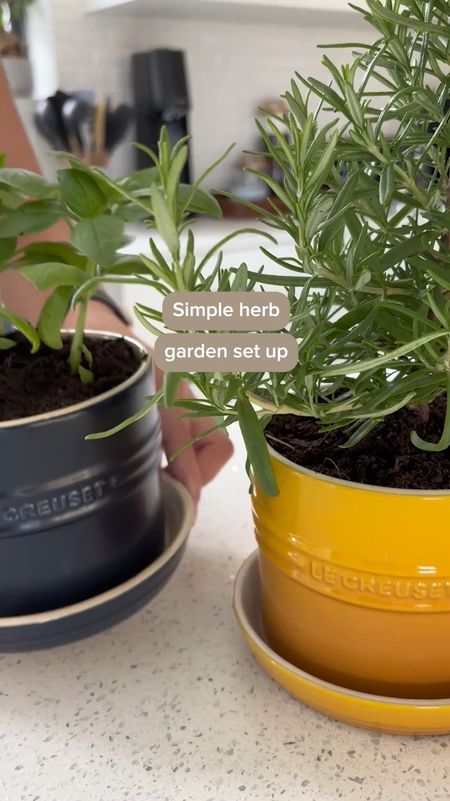 🌿✨ Let's Plant a Window Herb Garden! 🪴✨
There is seriously Nothing better than fresh herbs 🌱😍. Not only do they add a burst of flavor to your dishes, but they also bring a touch of nature indoors! And guess what? They are super easy to grow 🌞💧.
Grab Yours Here: https://amzn.to/3VZlfpl

Just make sure they are in a good spot for sun ☀️ and water 💦 daily, and they'll thrive like champs! These pots are the perfect size too, small but large enough for a full-grown herb bush 🪴🌿. So whether you're a seasoned gardener or just starting out, you'll have success. Plus, you can grab all one color, so they look aesthetically appealing 🎨🌈 or go for a colorful, fun look with tons of different colors to choose from 🌈🪴.

Imagine stepping into your kitchen and snipping fresh basil for your pasta, or mint for your mojito 🍝🍹. It's like having your own little garden oasis right at your fingertips! Let's bring a little green magic into our homes and spice up our lives with a window herb garden 🪴✨! Who's in? 🌱🌟 #herbgarden #herbgardening #windowgarden #planters #gardeninglife #freshherbs #amazonfinds #founditonamazon #amazonfind

#LTKVideo #LTKhome #LTKSeasonal