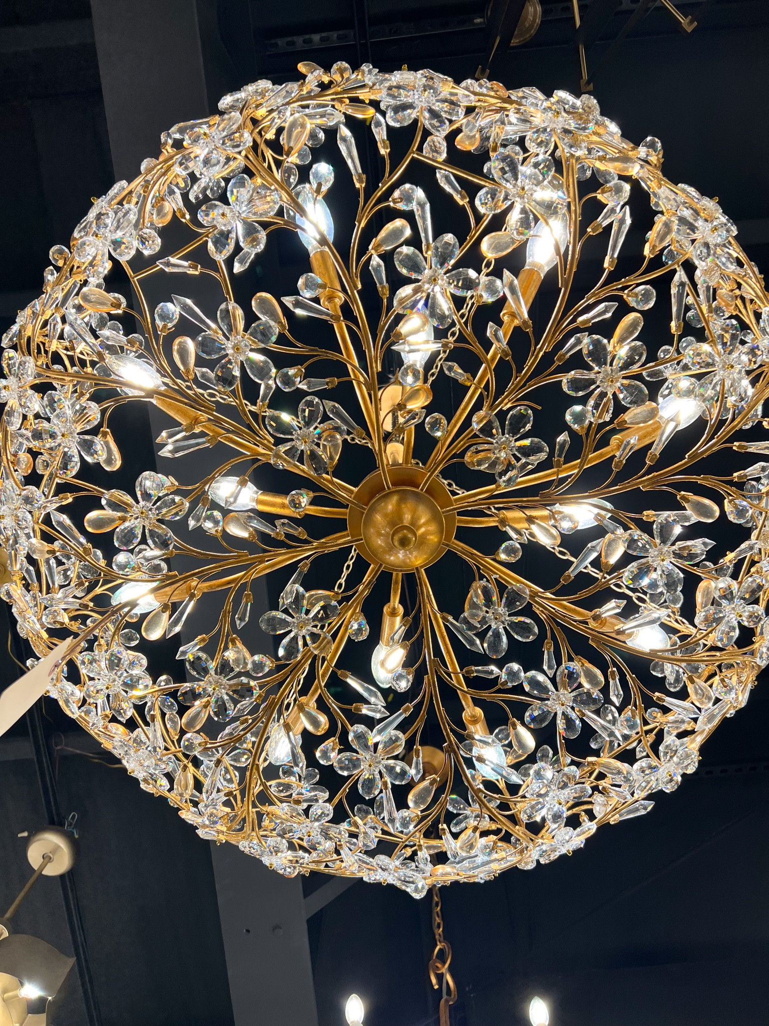 Another beautiful new arrival JUST IN😍 Give me all the crystal flowers and anything floral 🌸🌺

Chandeliers, chandelier, lighting, crystals, flower crystals, dining room, dining room chandelier, gold leaf, gold leaf finish, gold chandelier  

#LTKHome #LTKStyleTip